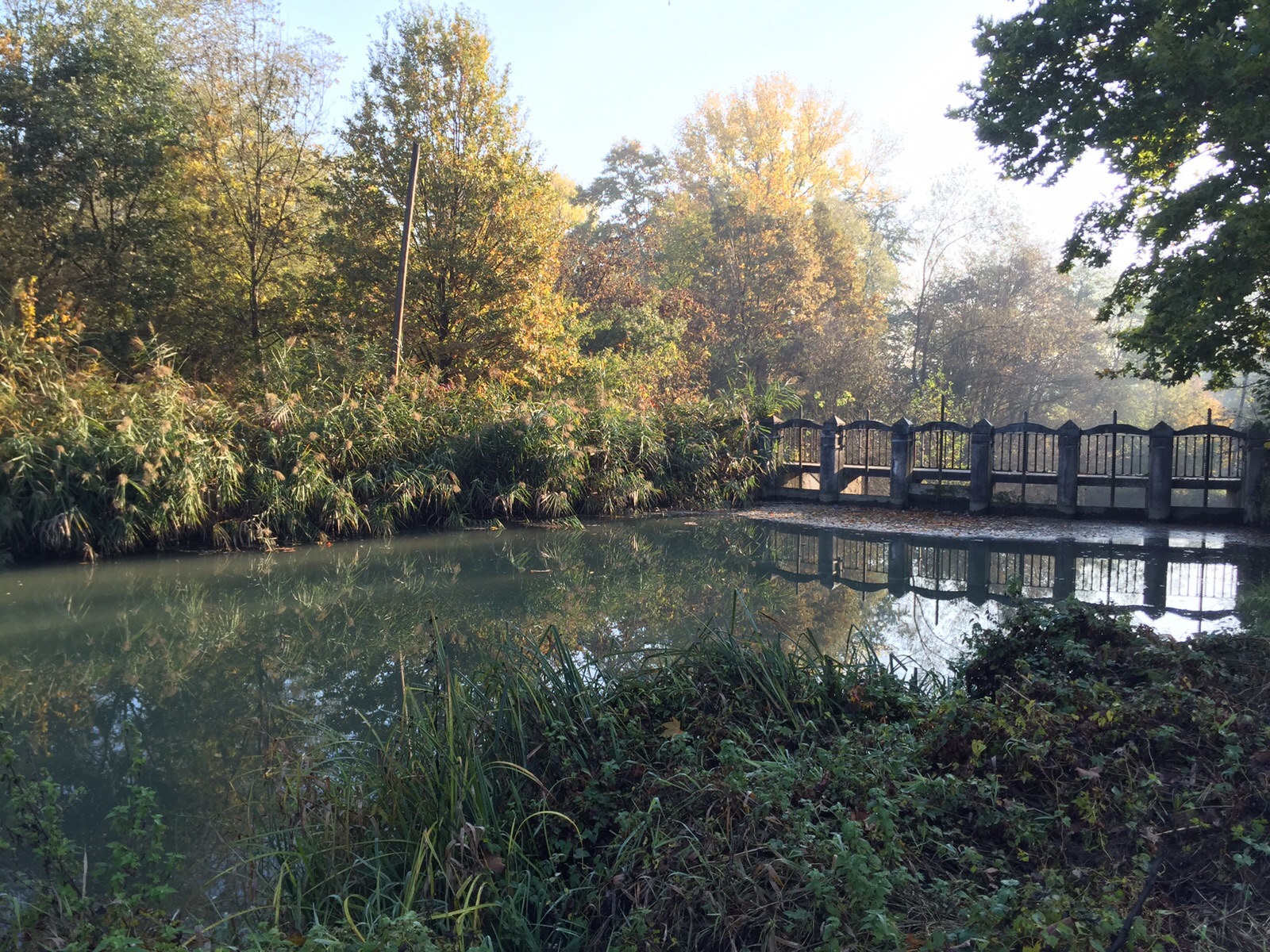 Parco naturale di interesse sovracomunale del fiume Strone